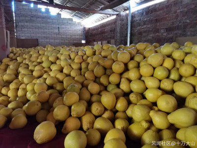 家乡特色水果产业 产销现状、挑战与机遇的观察